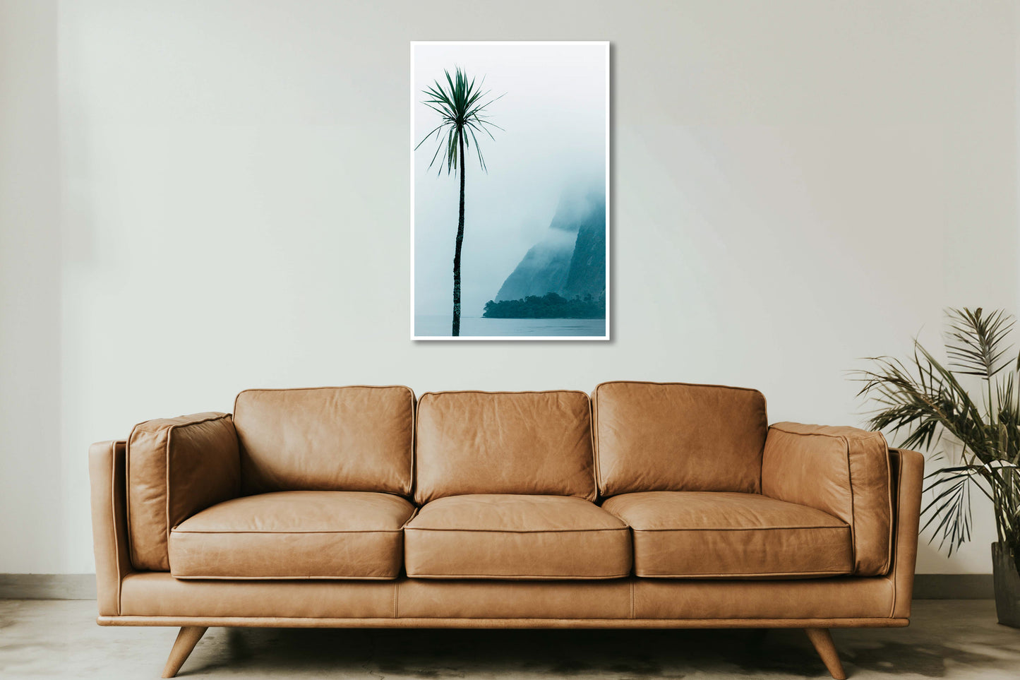 A Little Soul - New Zealand Palm Tree Photo