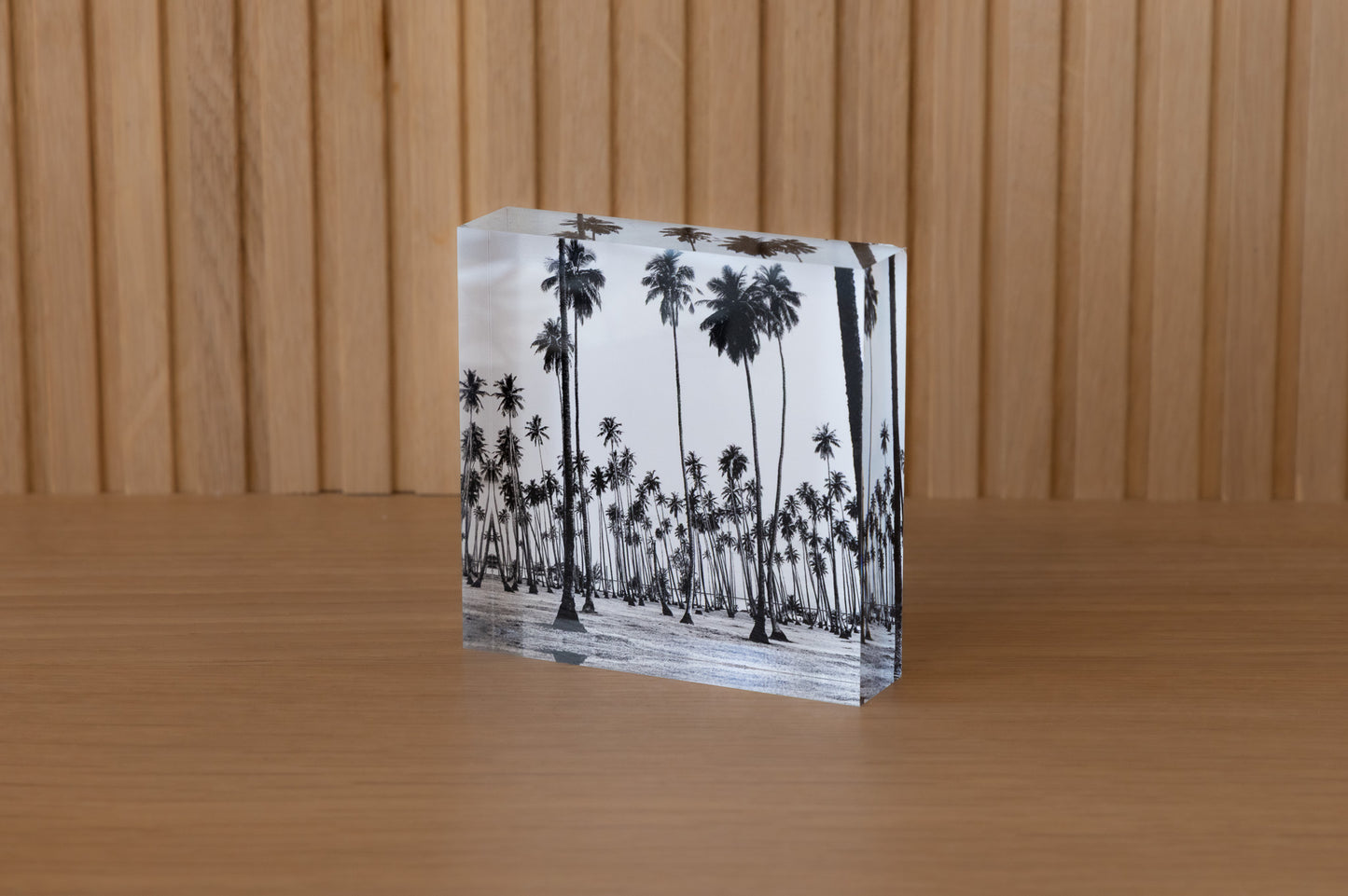 Coconuts Acrylic Block