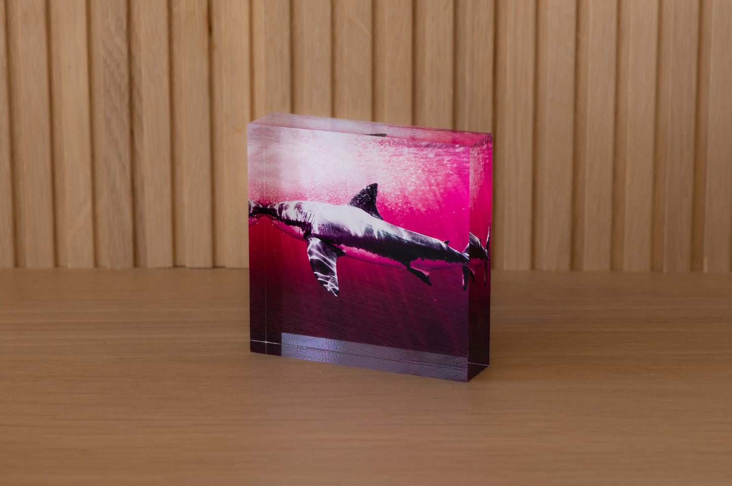 Pink Shark Acrylic Block