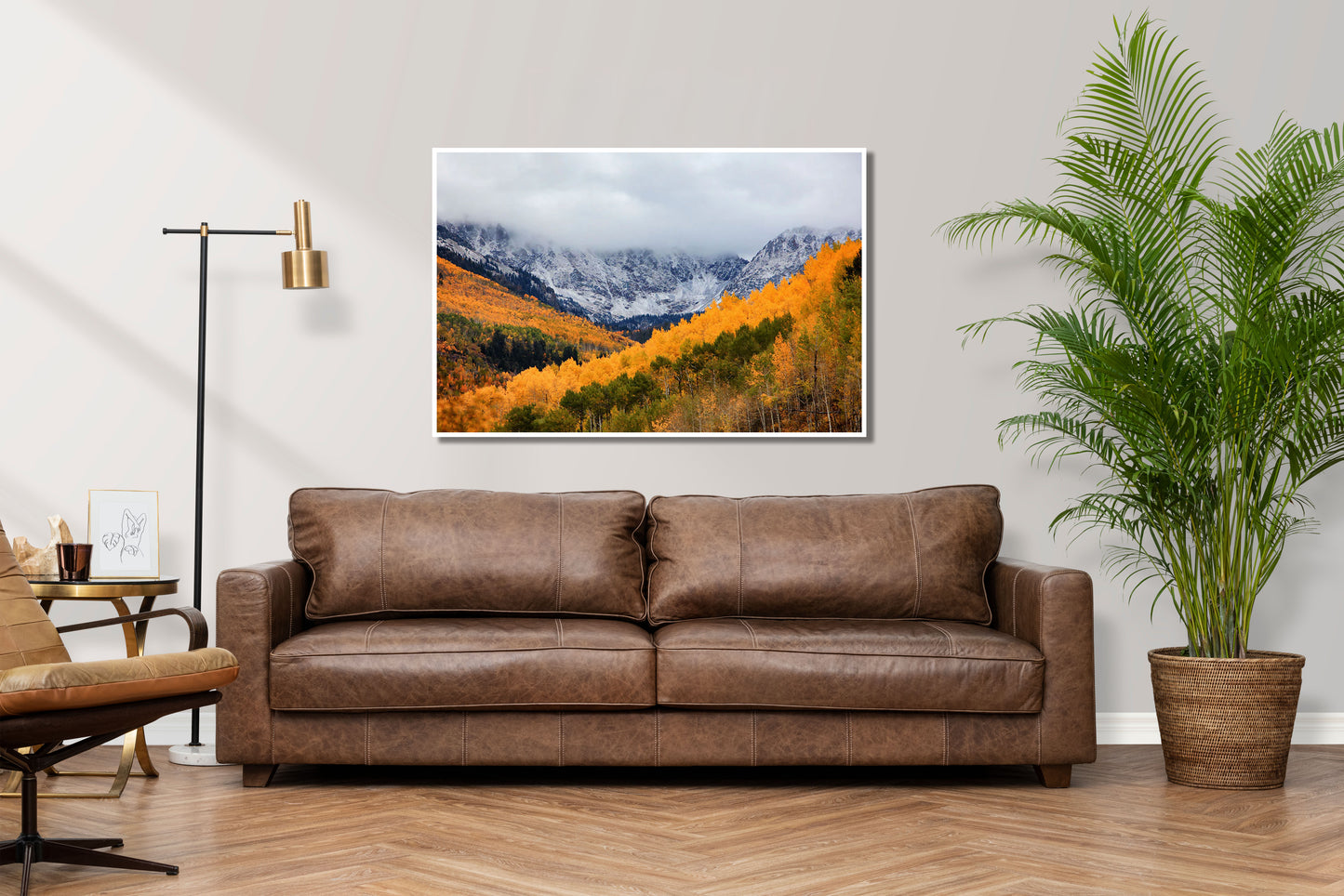 Between Seasons - Vail Fall Trees Photos