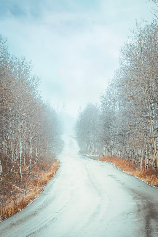 Season Transitions (Vertical) – Park City, Utah Photography