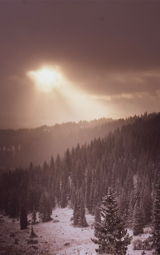 Holding The Light (Vertical) – Park City, Utah Photography