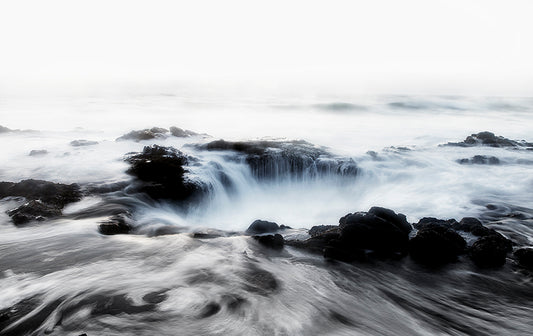 Follow the White Rabbit - Oregon Photos