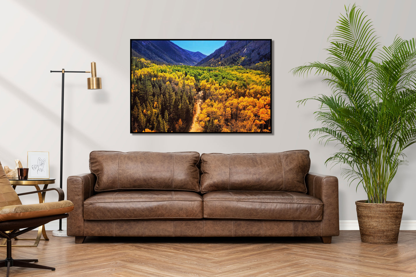Free Falling - Vail Colorado Mountain Landscape Photos