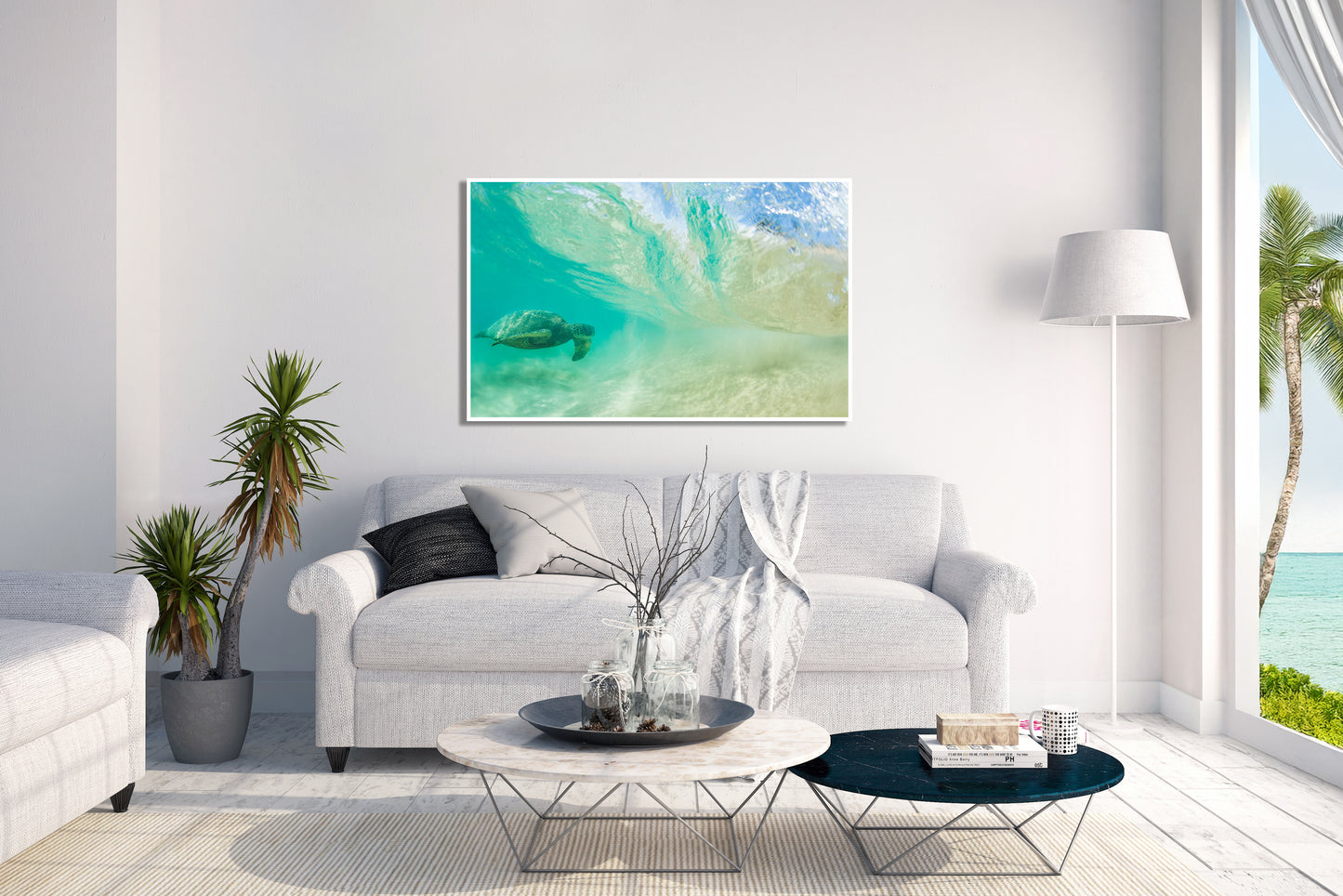 Free Ride - Hawaiian Turtle Photos