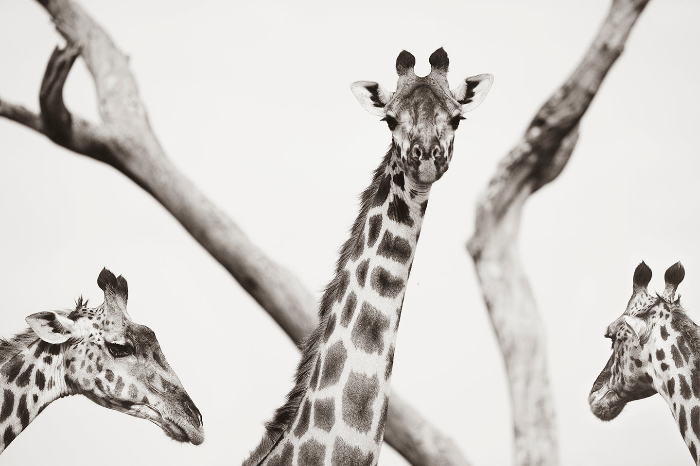 You Lookin' At Me? - Beautiful Ocean, Beachscapes and Landscape Photography