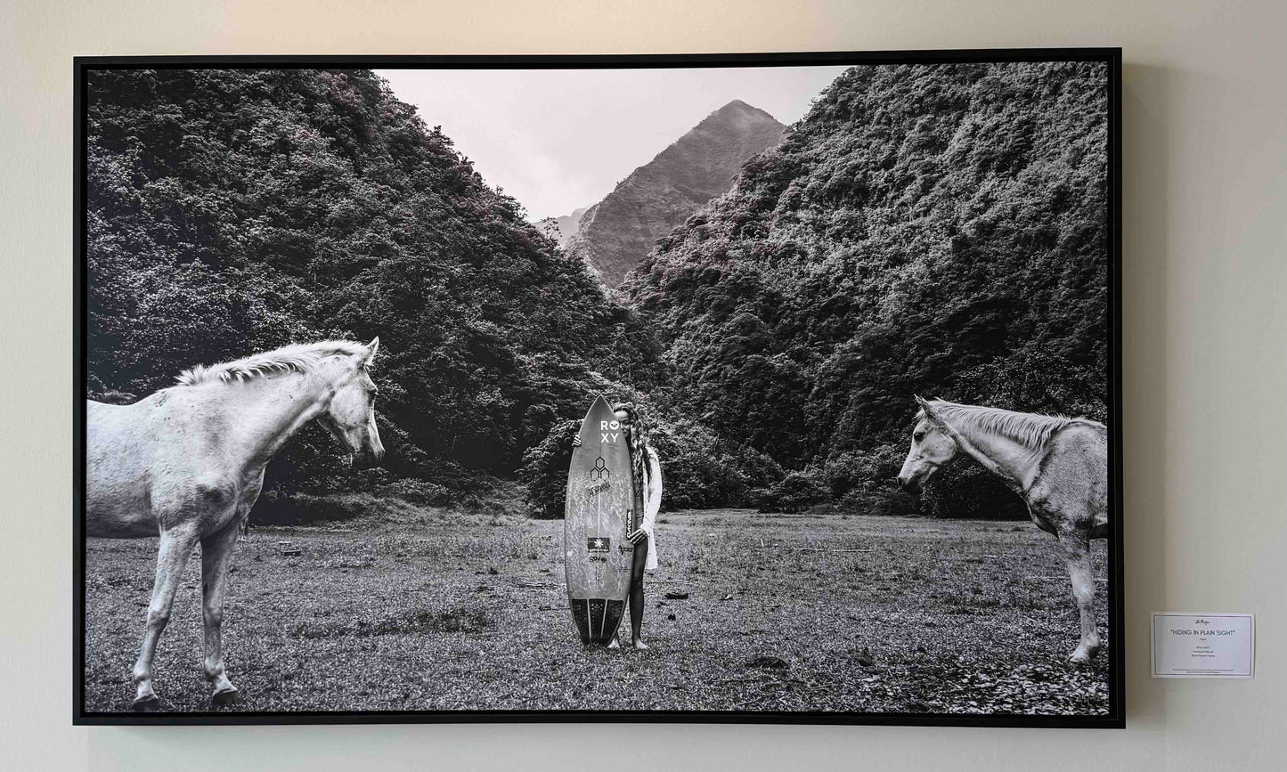 Hiding In Plain Sight - Gallery Display Piece