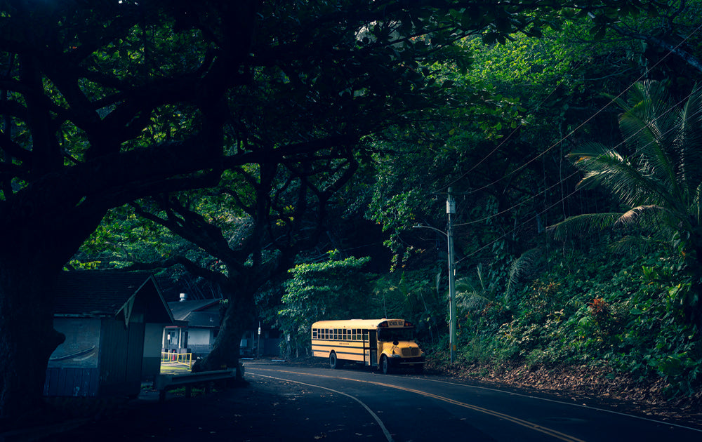 Journey Through Green - Maui Hana Photography