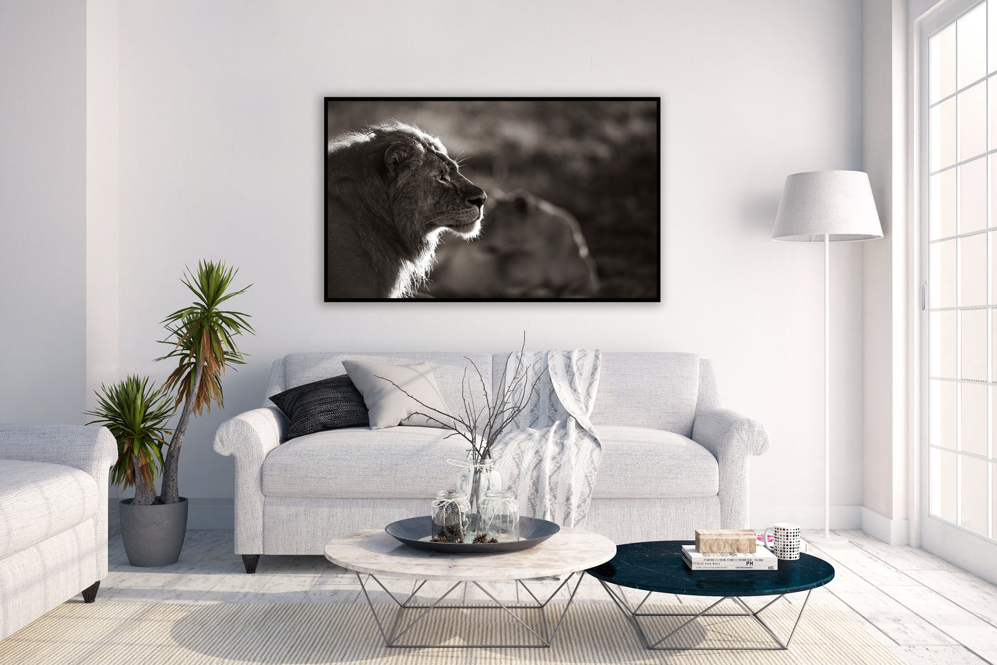 Stoic Pride - Beautiful Beach, Ocean and Landscape Photography