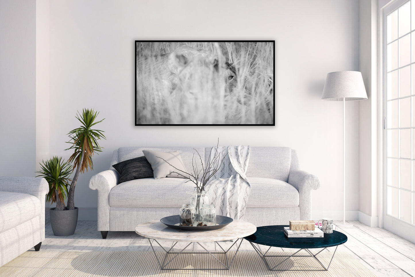 Ghost - Africa Nature Photography
