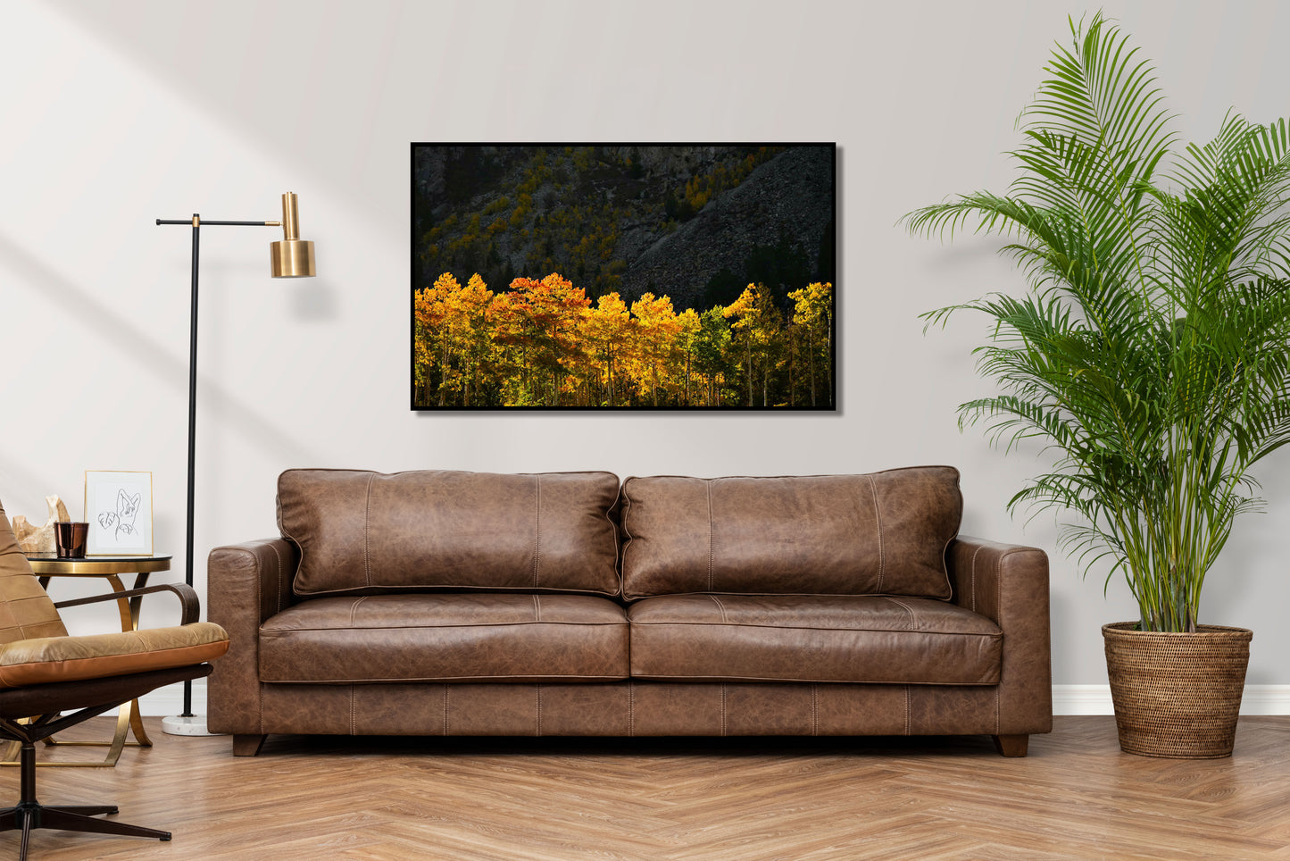 Light Show - Vail Autumn Trees Photos