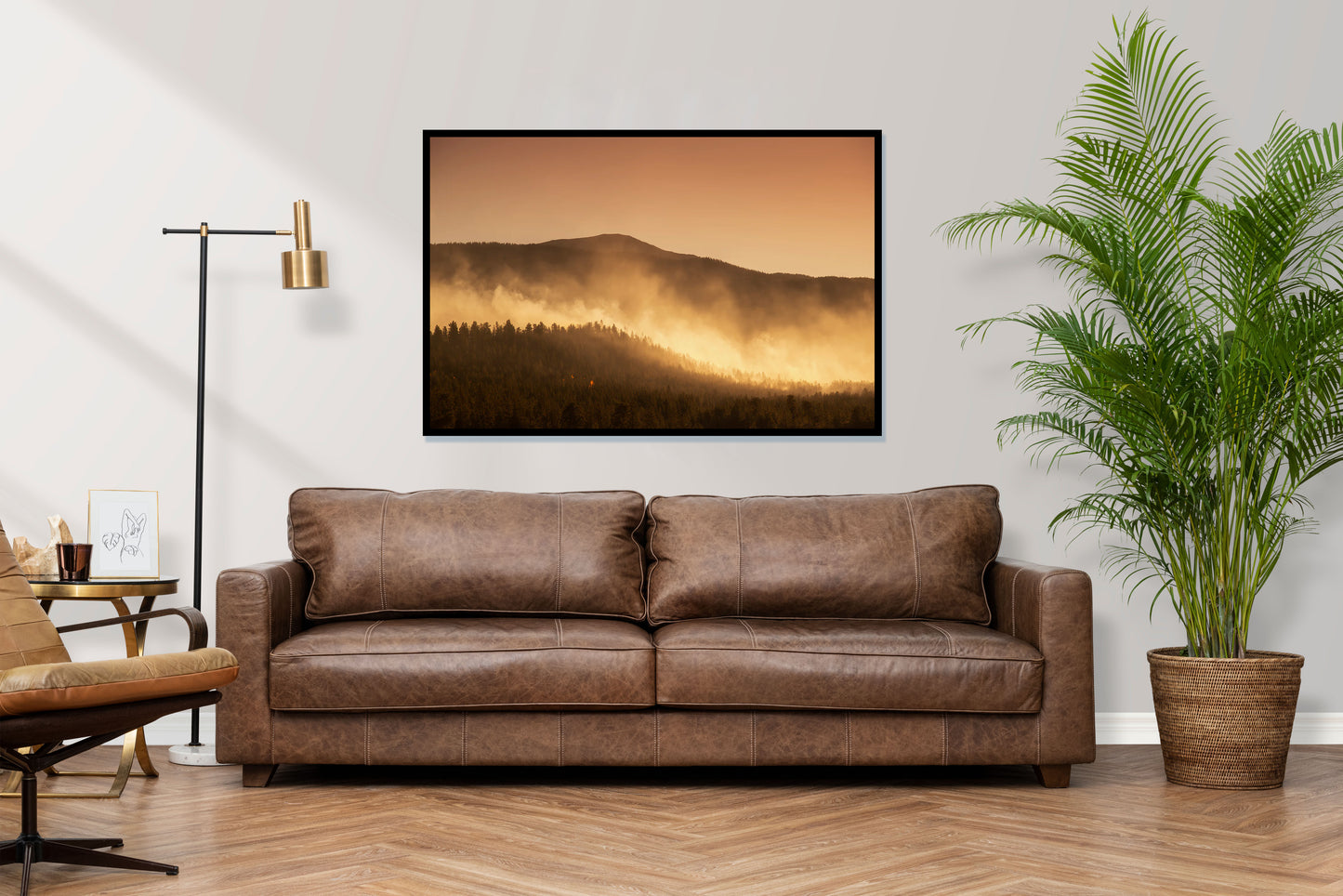 Morning Mist - Vail Trees Morning Mist Photos