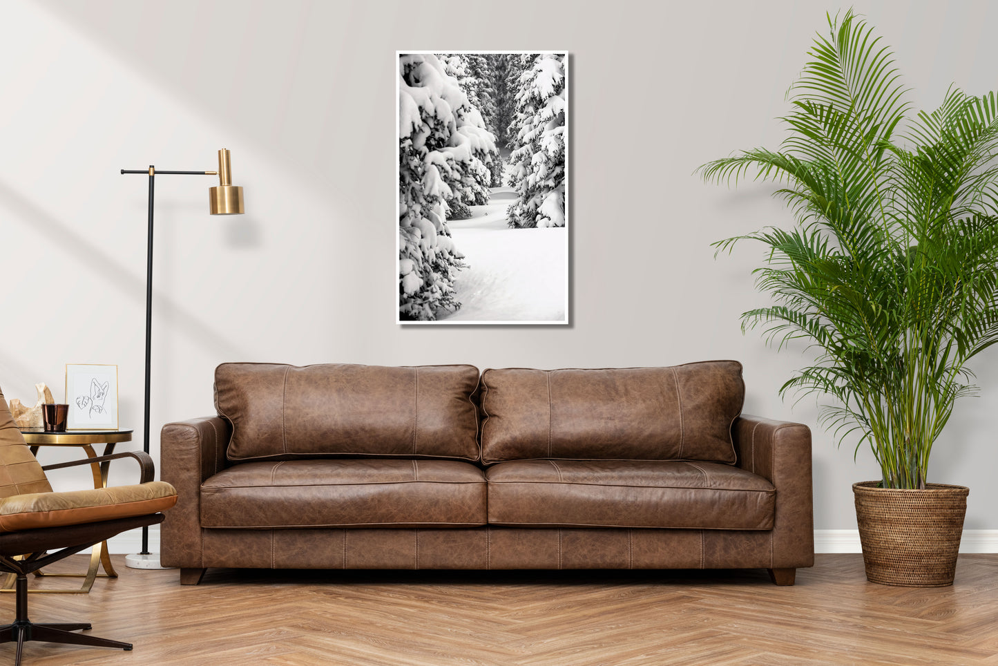 My Line - Vail Snow on Trees Photos