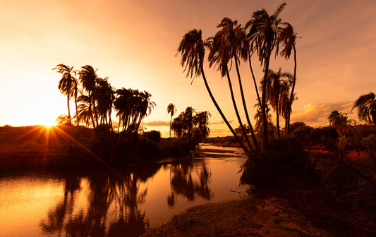 Oasis of Light - African Sunset Photos
