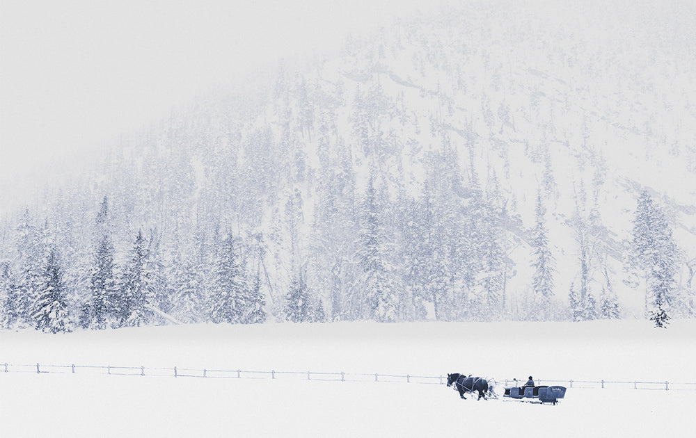 One Horse Open Sleigh - Sun Valley, Idaho Photography
