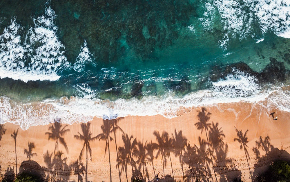 Aerial view of a beach with palm tree shadows and turquoise ocean water.