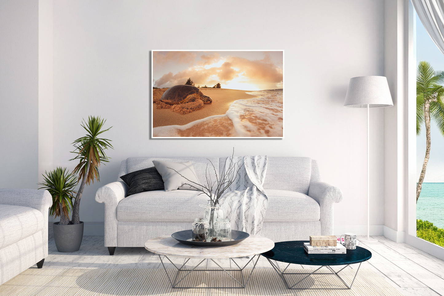 Shellback - North Shore, Oahu Photos