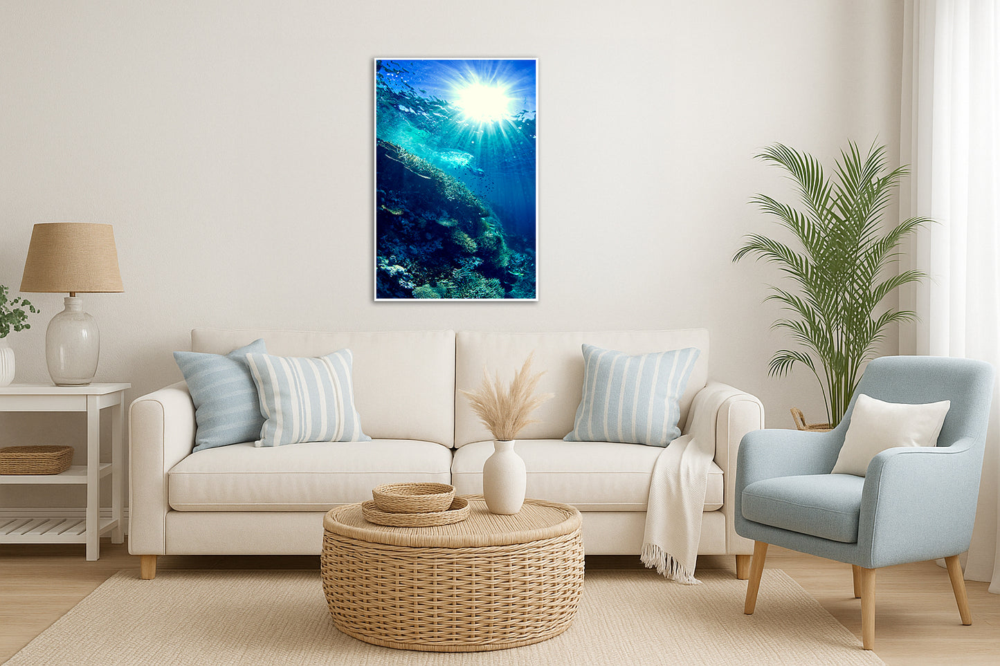 Shine On - Fiji Underwater Coral Photos