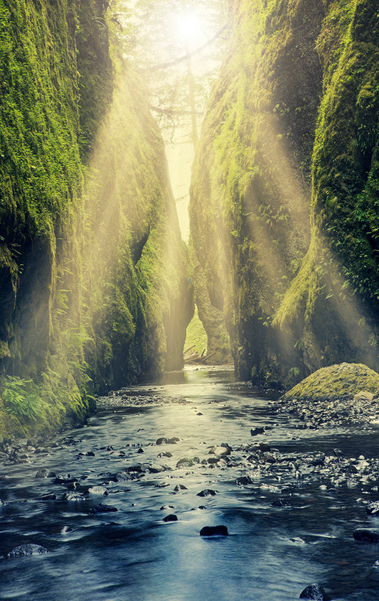 Silent Drift - Oregon Gorge Photos