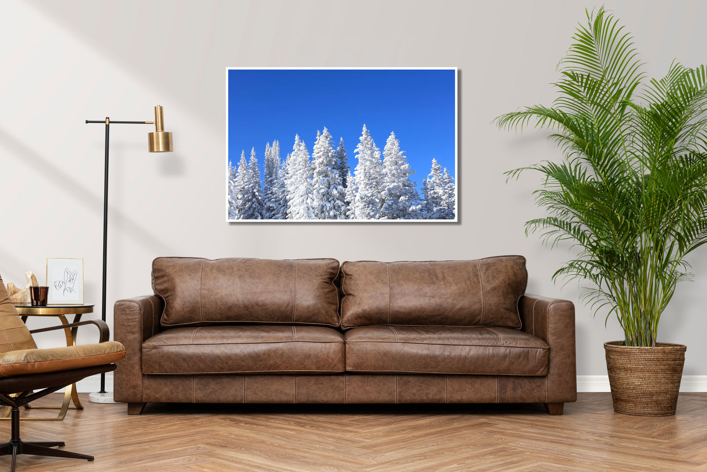 Snowy Canopy - Fine Art Photography