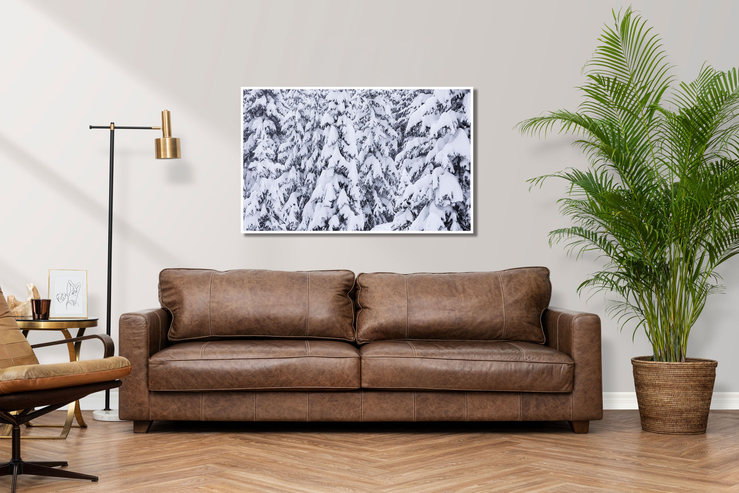 Snow Covered Trees - Snow Covered Vail Trees Photos