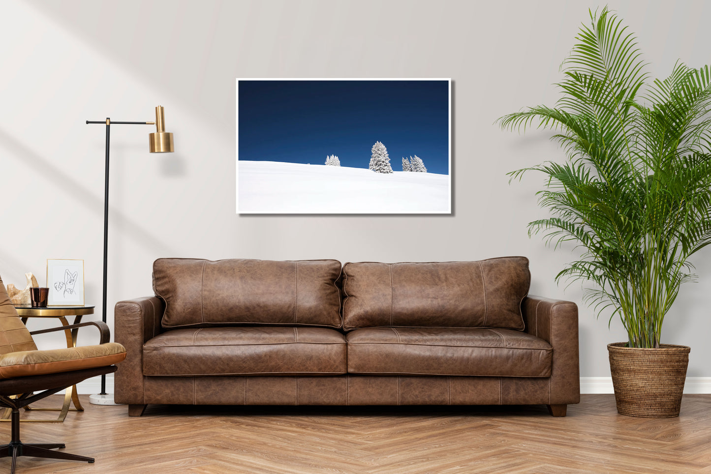 Snow Day - Vail Snowy Hill With Trees Photos