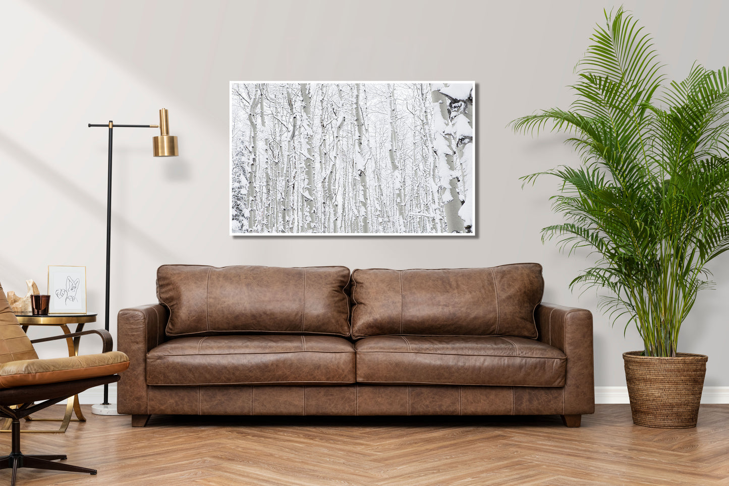 Snowmass - Aspen Snowmass Trees in SNow Photos