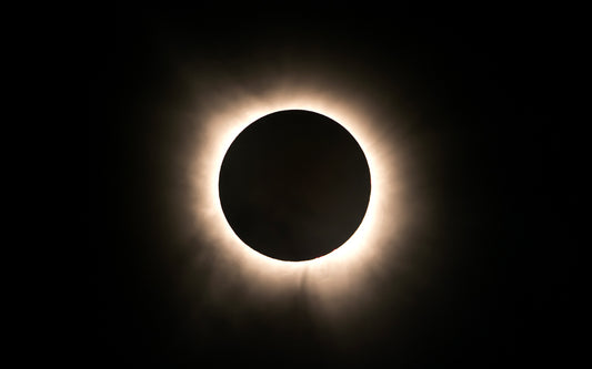 Watching Totality - Photos of the Solar Eclipse