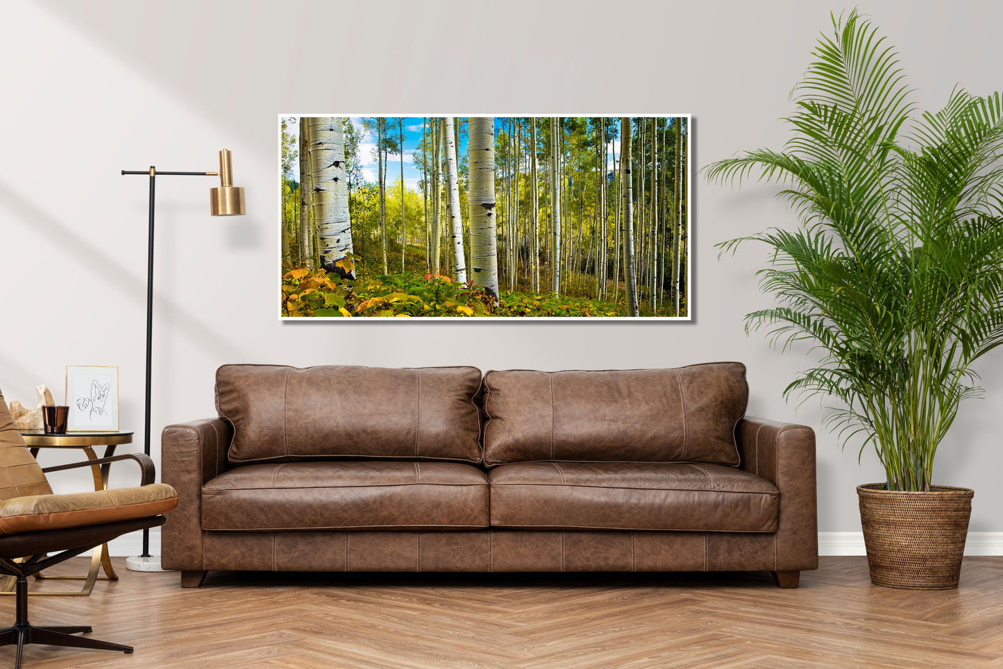 Spring Aspens - Vail Aspen Trees Photos