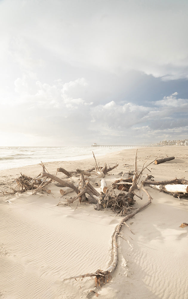 Stuck In the Sand - Manhattan Beach Ocean Photos