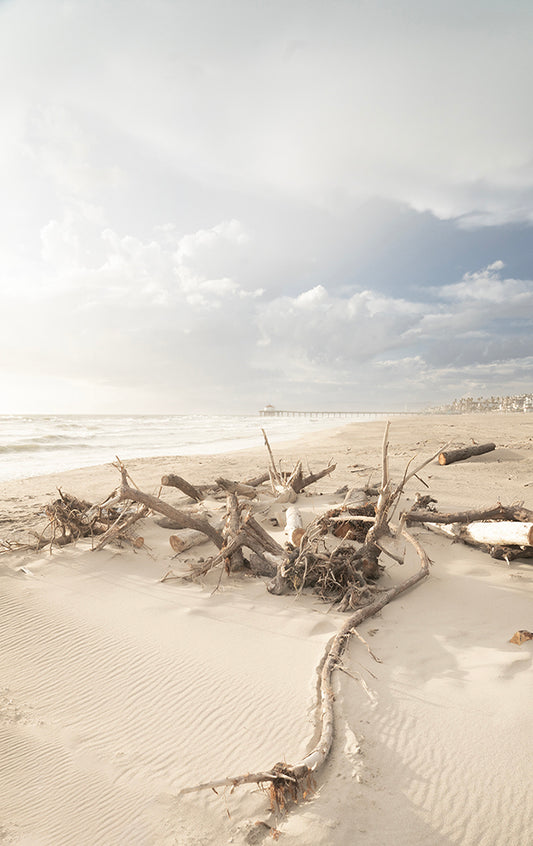 Stuck In the Sand - Manhattan Beach Ocean Photos