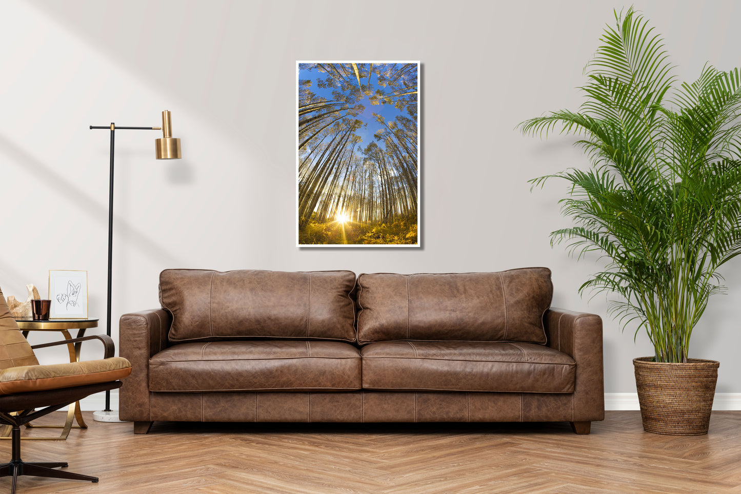 Sundance - Vail Colorado Trees Fisheye Photos