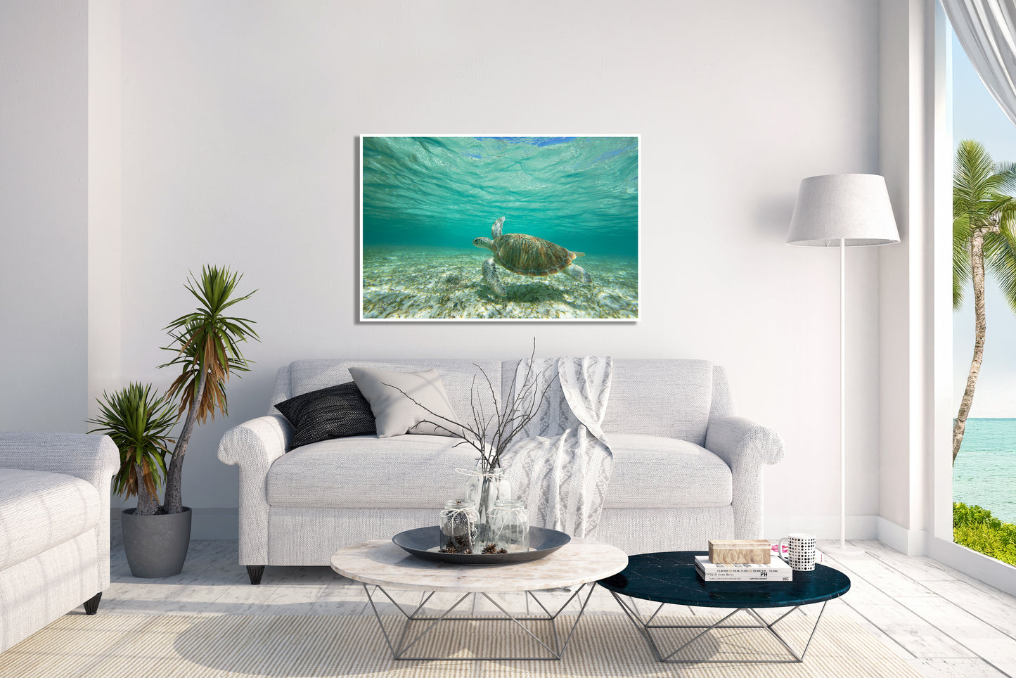 The Dude - Hawaiian Sea Turtle Photos