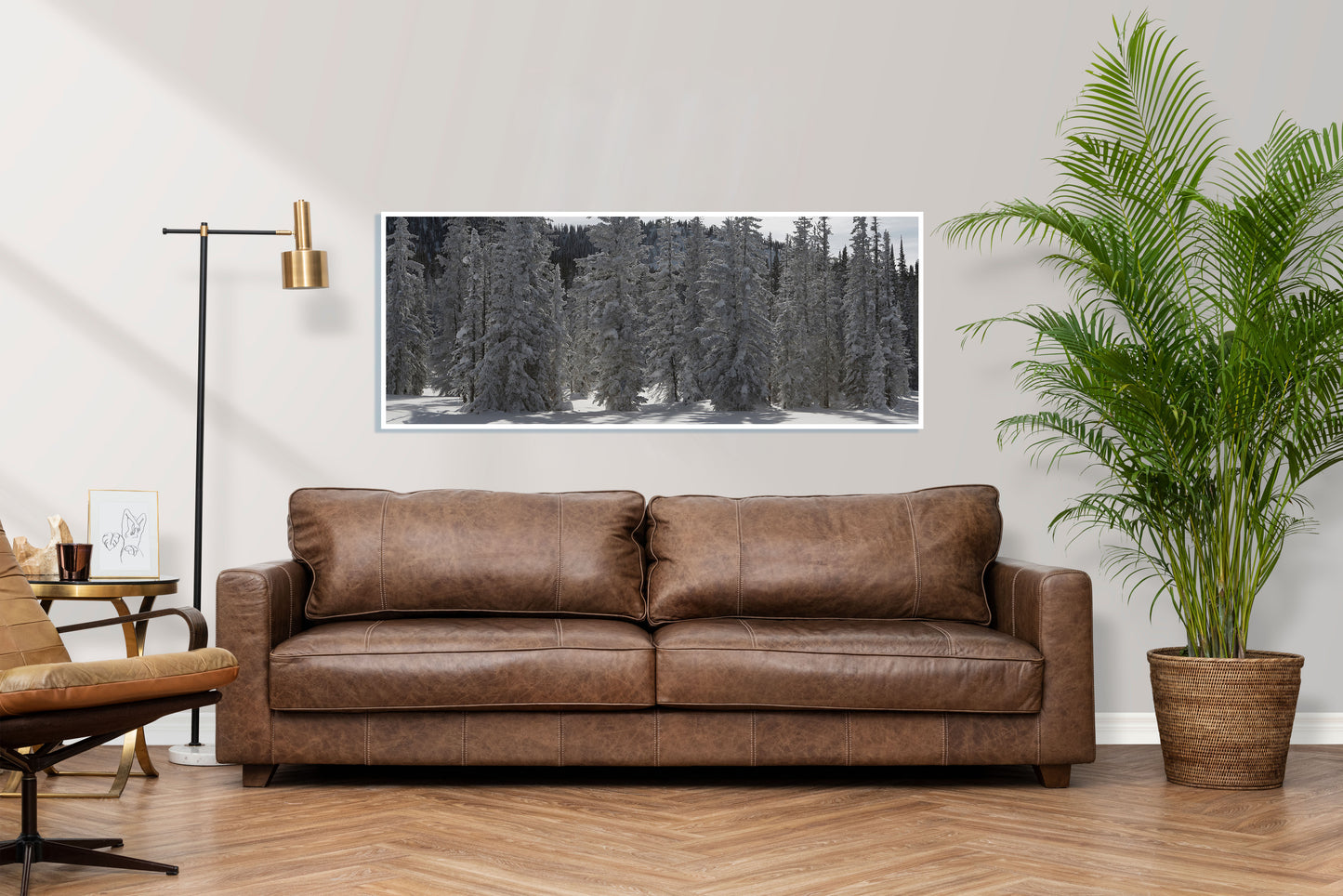 The Long Hike Out - Vail Snowy Evergreen Trees Photos