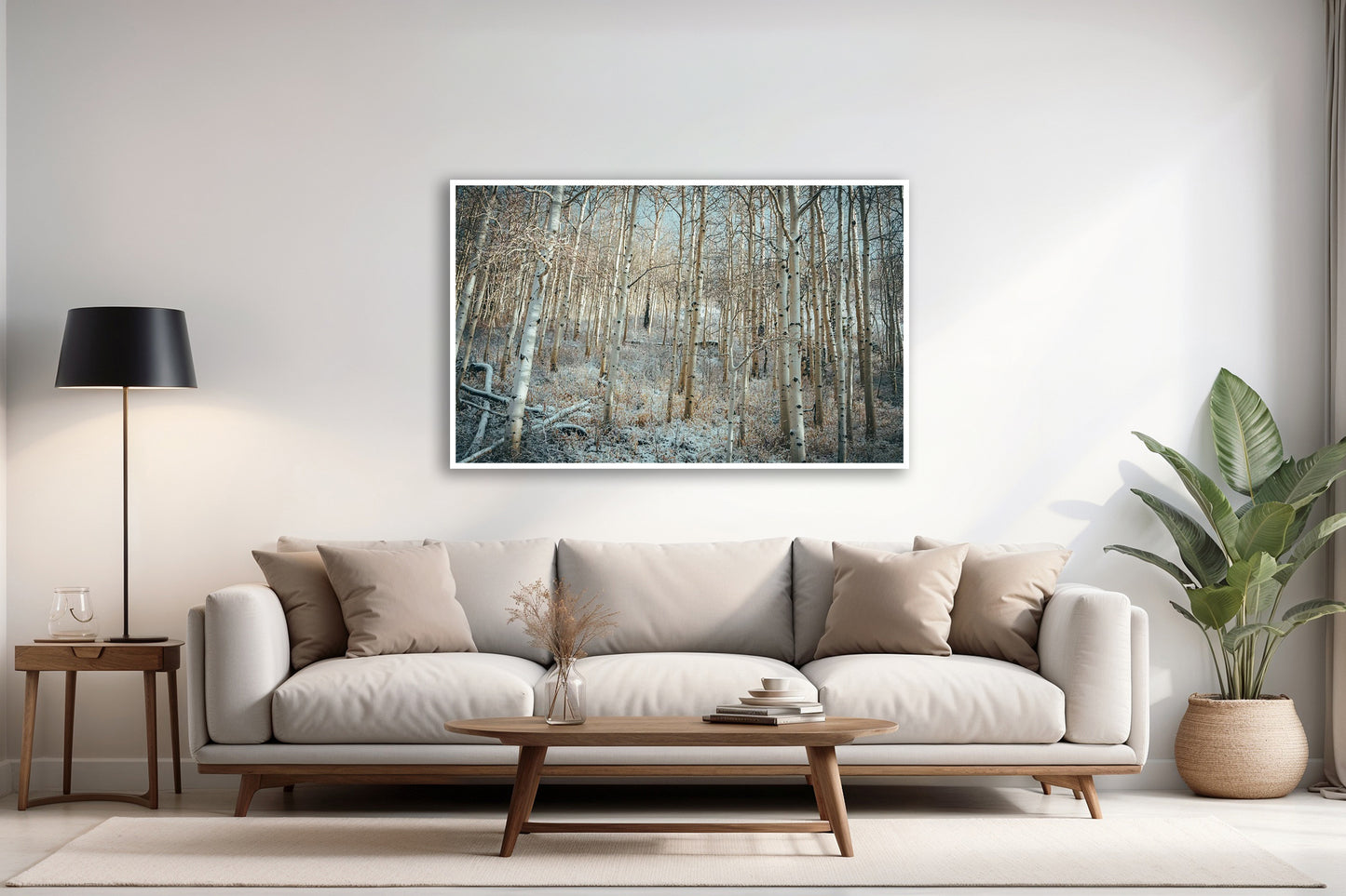 White Woods – Park City, Utah Photography