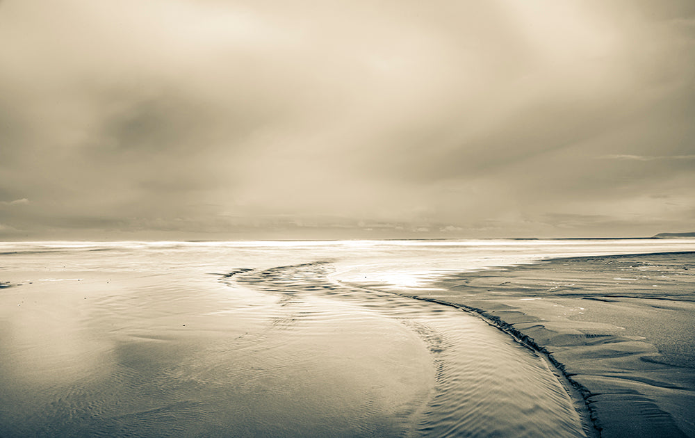 Art In Motion - Morro Bay Photos