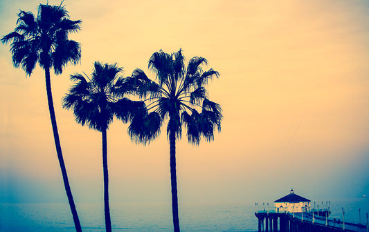 Blue Manhattan Beach Palm Trees Photos