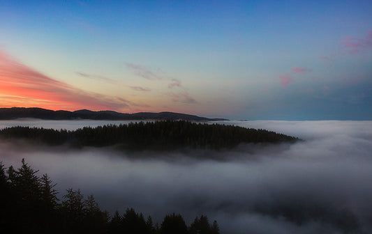 Cloud Forest - Mount Hood Photos