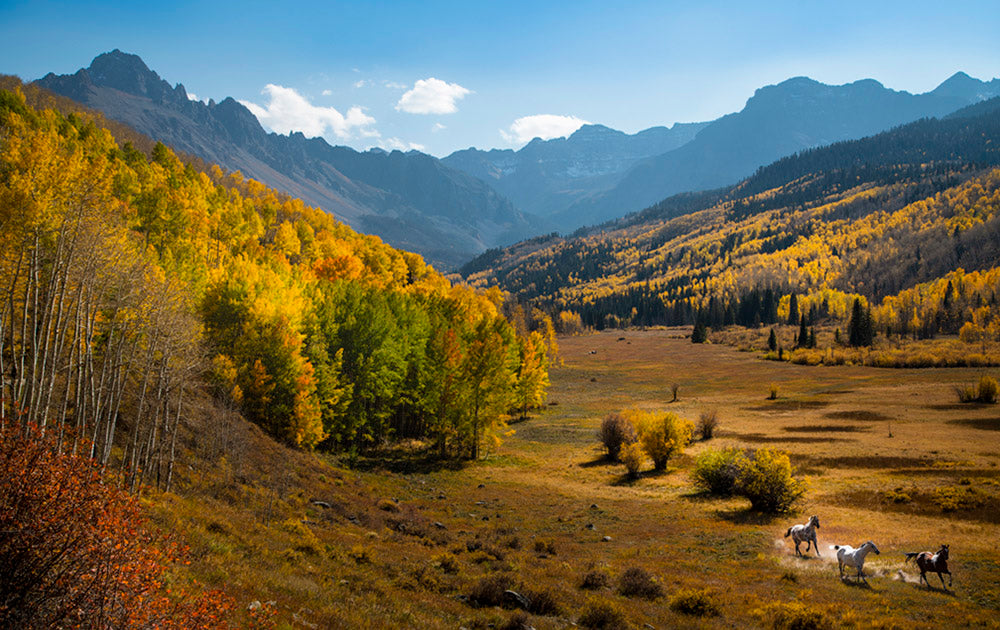 Colorado Mountain Valley Photos