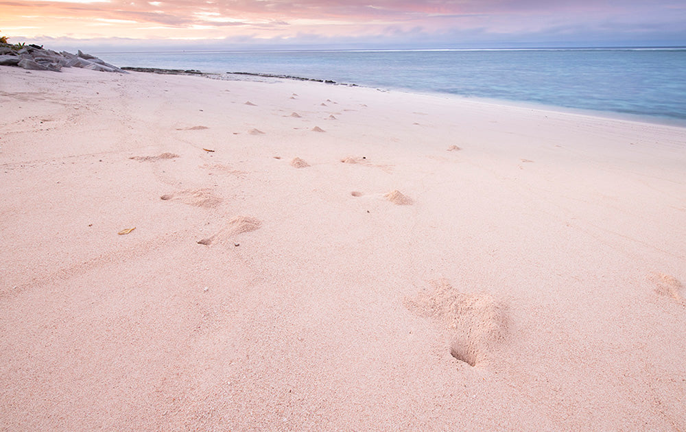 Fiji Beach Photos