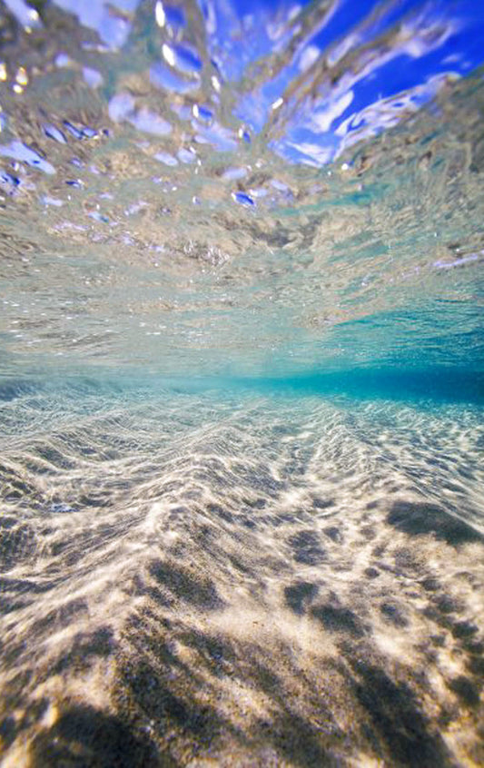 Indonesia Underwater Photos