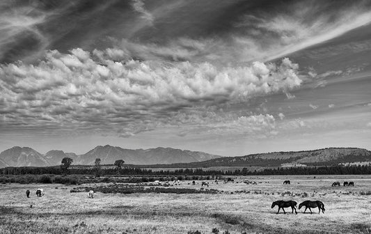 Jackson Hole Range Landscape Photos