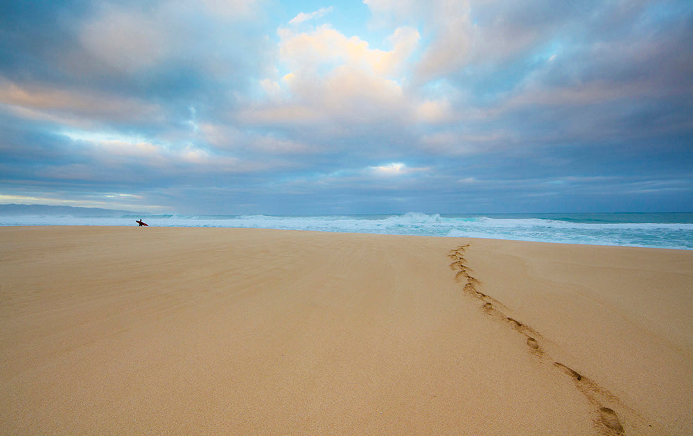 North Shore Beach Trail Photos