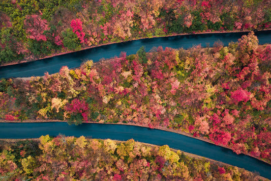 Red, Orange, Yellow and Green Leaves in Utah