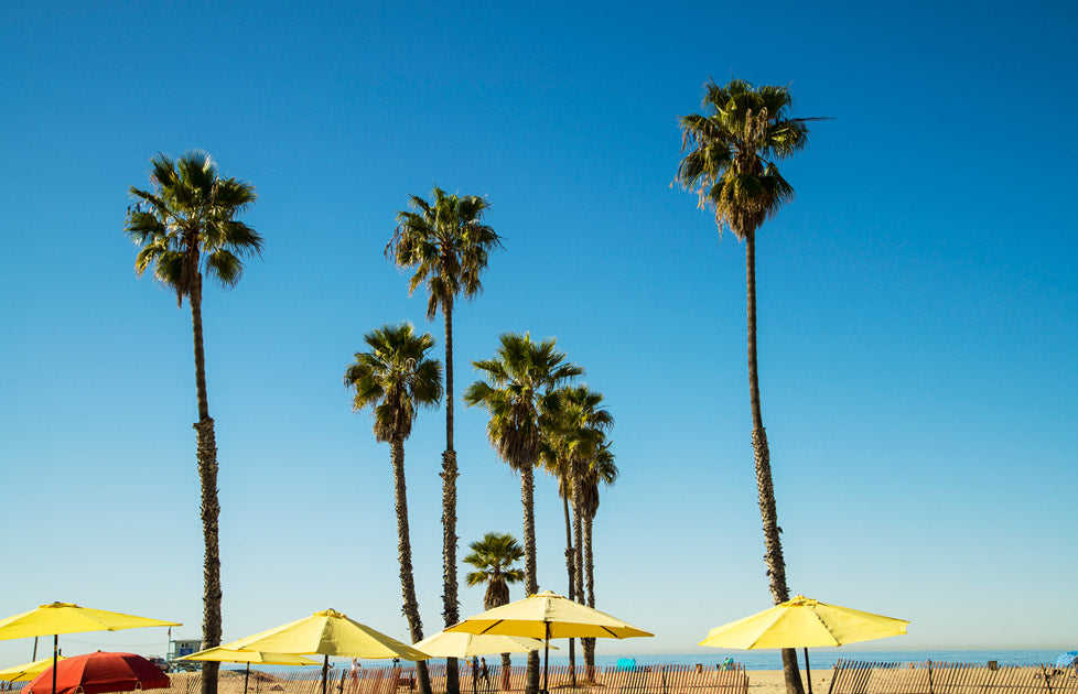 Santa Monica Beach Photos