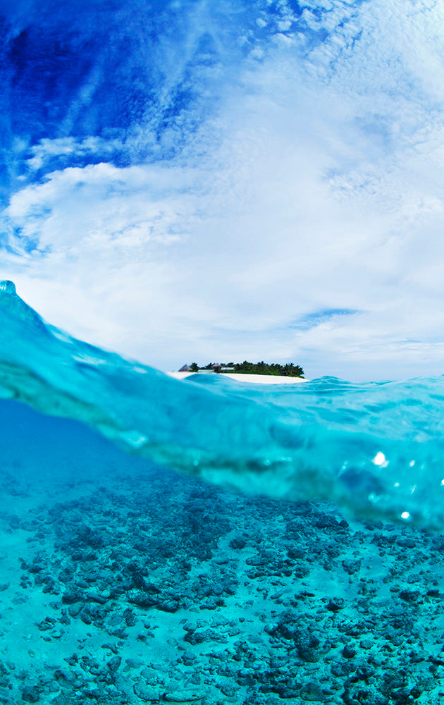 Tavarua Fiji Ocean Wave Sea Photos