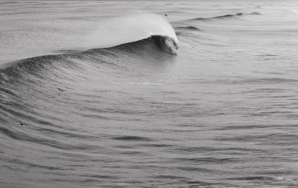 The Howler - Manhattan Beach Wave Photo