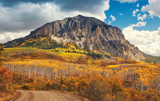 Vail Mountain Trees Autumn Photos