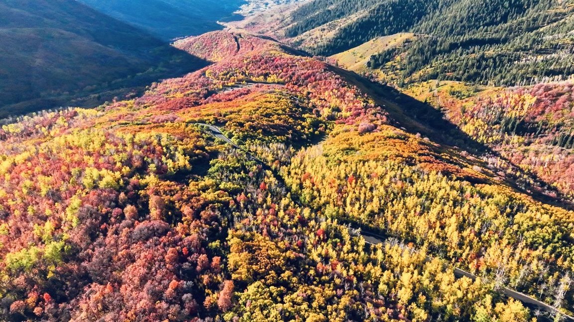 Down Valley - Park CIty Utah Mountain Photos
