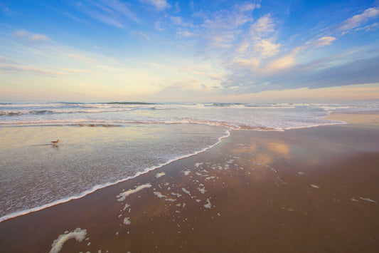 Morning Stroll - Morning Beach Shore Photos